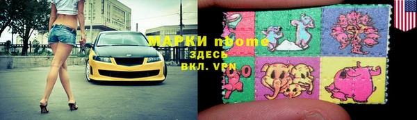 крисы Богородицк