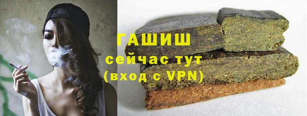 крисы Богородицк