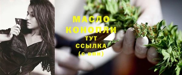 крисы Богородицк