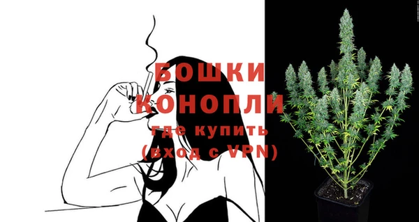 крисы Богородицк