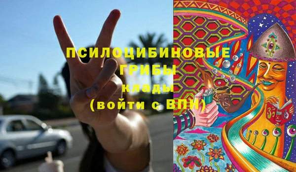 стафф Богородск