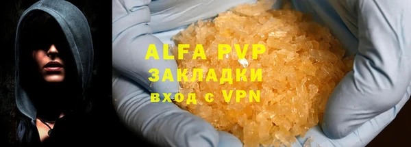 крисы Богородицк