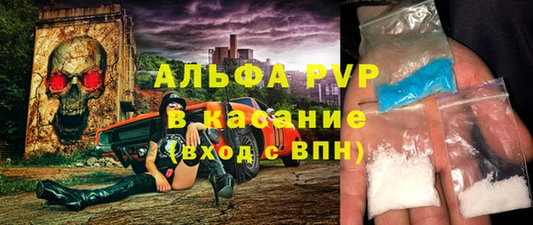 крисы Богородицк