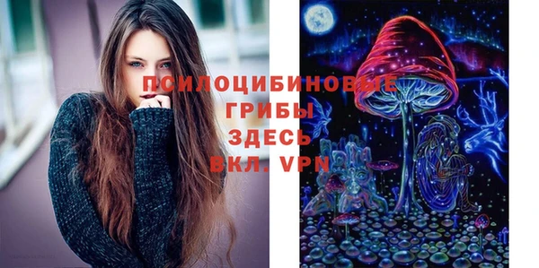 амфетамин Богданович