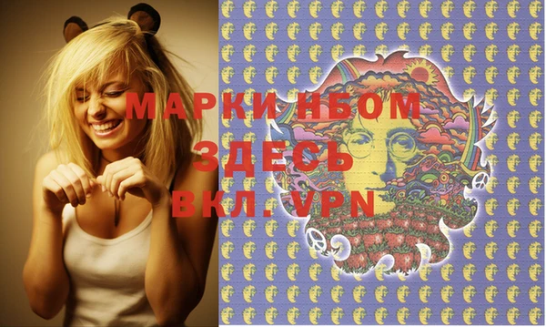 крисы Богородицк