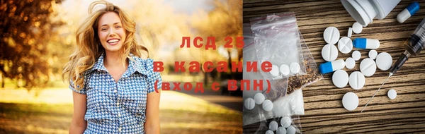 крисы Богородицк
