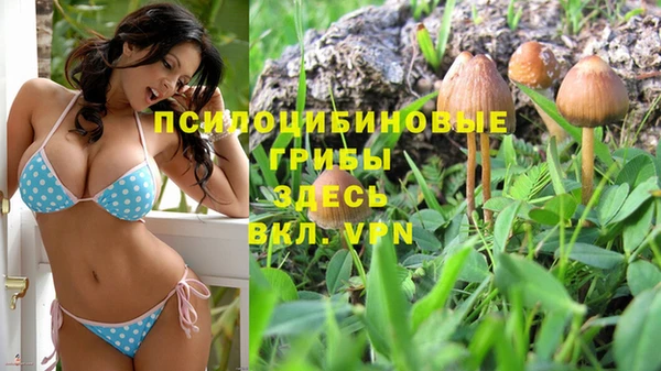 стафф Богородск